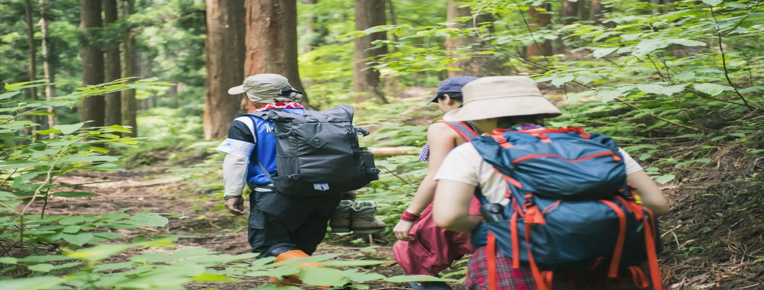 Image for Nature Trek